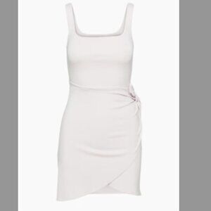 Aritzia Saturn Mini Dress: Vin Gris